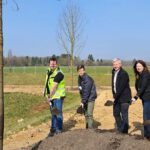 Grünes Zentrum für Bierstadt Nord: 83 Bäume und Spielräume geplant