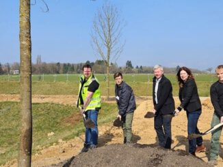 Grünes Zentrum für Bierstadt Nord: 83 Bäume und Spielräume geplant