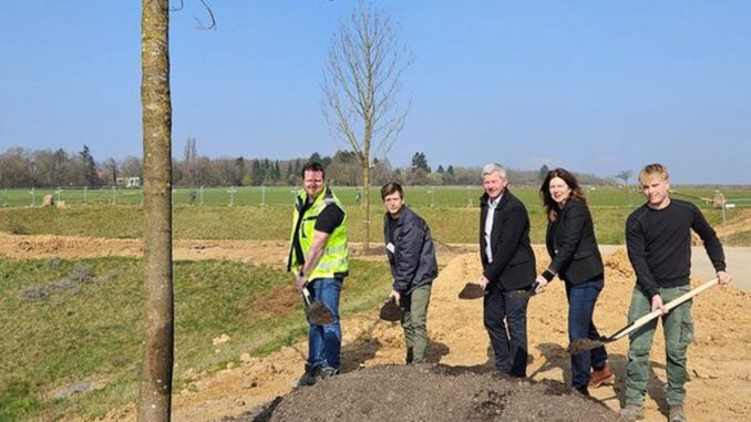 Grünes Zentrum für Bierstadt Nord: 83 Bäume und Spielräume geplant Grünes Zentrum für Bierstadt Nord: 83 Bäume und Spielräume geplant