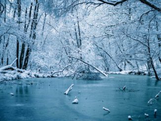 Wiesbaden warnt: Betreten von Eisflächen kann lebensgefährlich sein